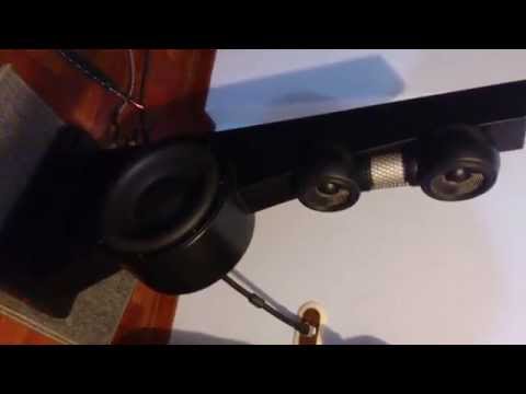 Video Anthony Gallo Acoustics Reference 3.1