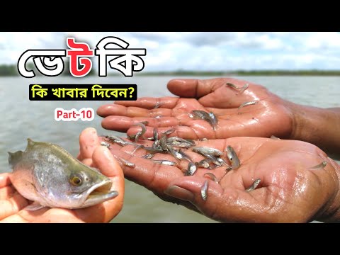 ভিডিও: খাবার সম্পর্কে 10 আকর্ষণীয় তথ্য