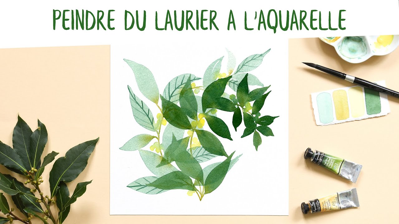 Tutoriel : peindre du laurier à l'aquarelle