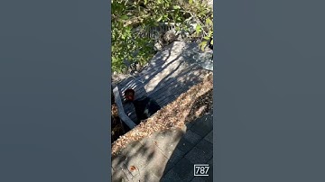 GoPro inspection showed exposed nails on the roof and gutter screens to be cleaned.