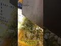 Cabbage Cutting Machine | Uniform Vegetable Cutting Solution 🥬