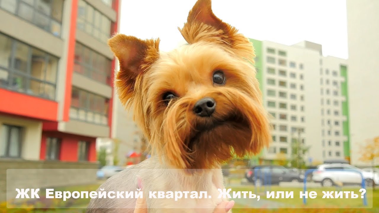 Обзор жилого комплекса Европейский квартал Тюмень от РЕКОМ недвижимость ...