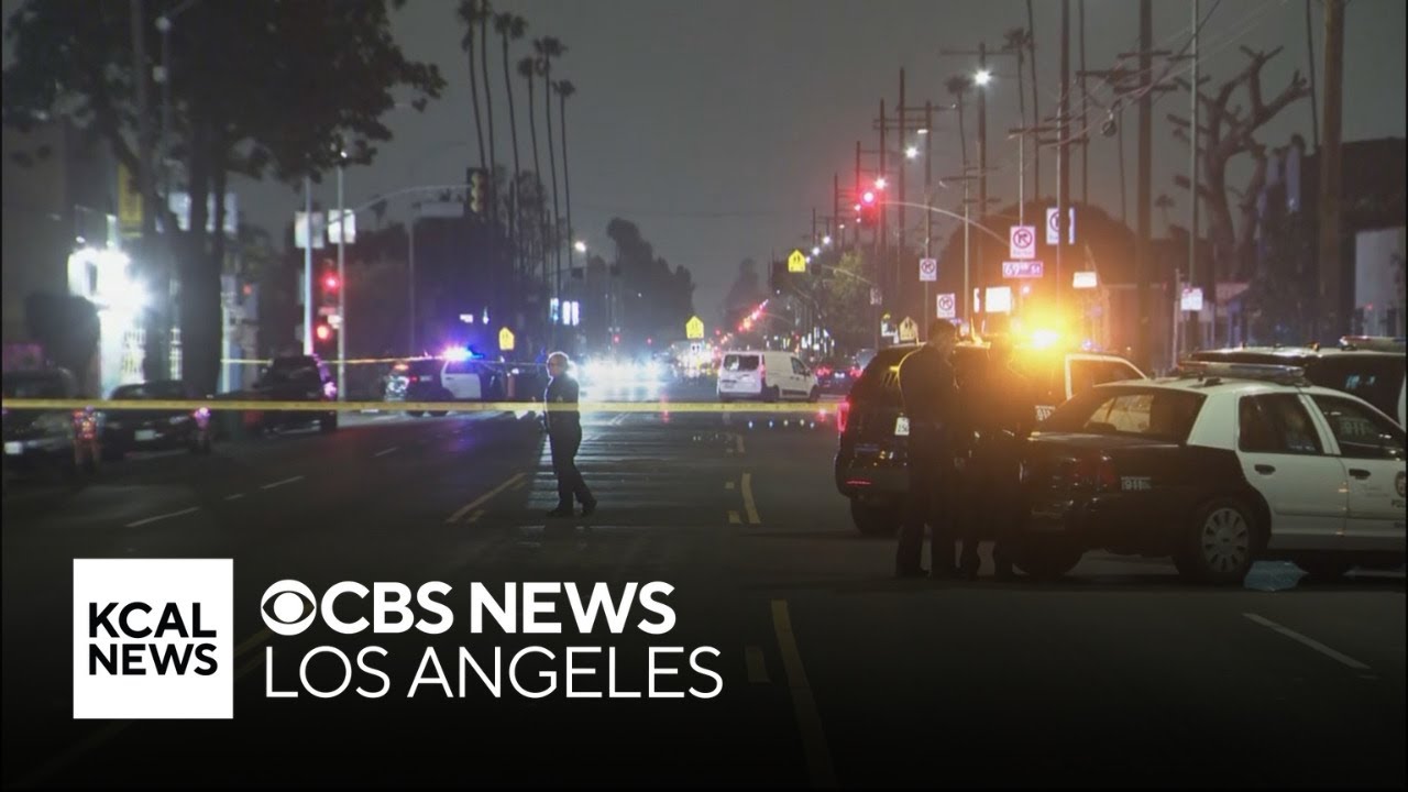 14 year old girl charged for fatal shooting in South Los Angeles