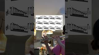 Flute daily fingering exercises