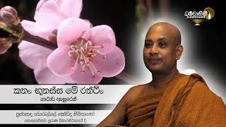 Ven Borelle Kovida Thero | පූජ්යපාද බොරැල්ලේ කෝවිද හිමිපාණෝ Ven Borelle Kovida Thero | පූජ්යපාද බොරැල්ලේ කෝවිද හිමිපාණෝ