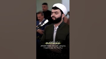 سورة الفجر❤