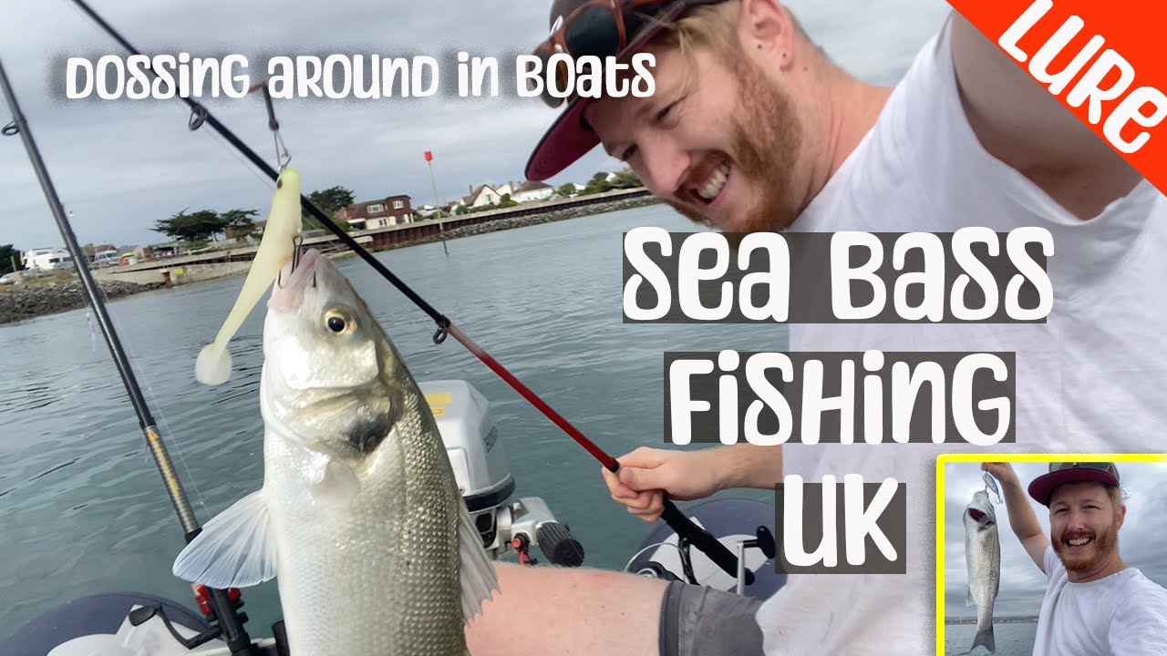 Sea Bass Fishing UK YouTube