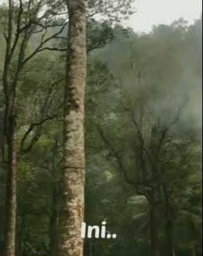 Story wa ngopi#Hidup Tanpa percintaan#