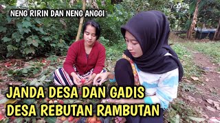 Seru!! Janda dan gadis desa cantik | sedang rebutan makan buah rambutan | Neng Anggi dan neng Ririn.