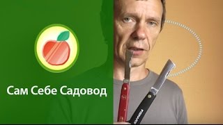 Обзор прививочных ножей Felco/Victorinox, Fiskars и Tina