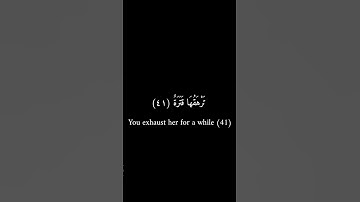 كرومات سوداء _ عمرو بن علي الترباني _ سورة عبس #كرومات_سوداء #ارح_سمعك_وقلبك #فيه_شفاء_للناس