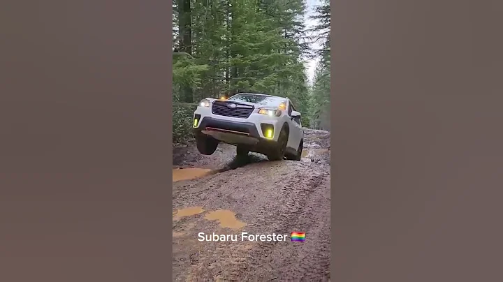 Subaru Forester vs Ford Mustang