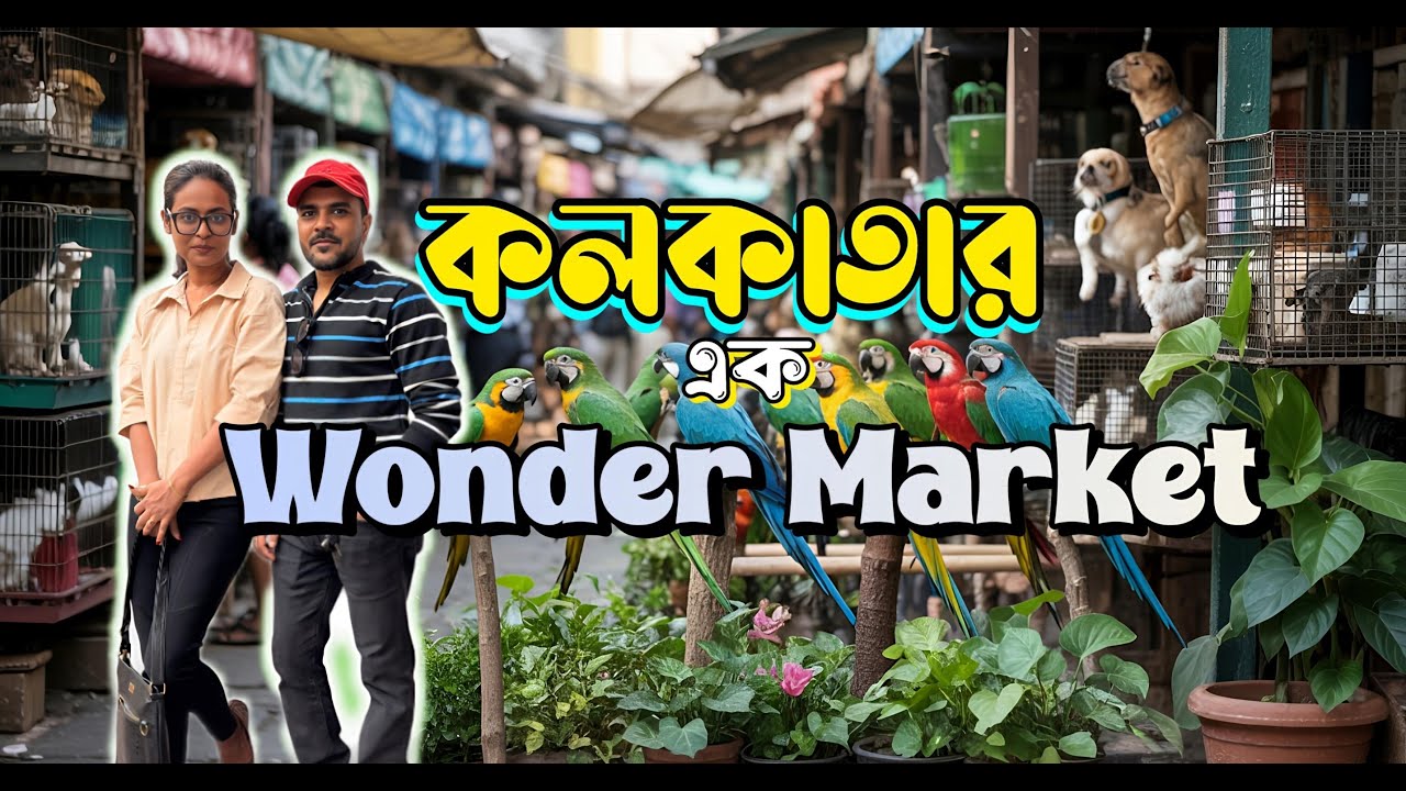 Bikes, Breakfast & Barking: The Pet-Loving Biker Community