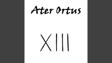 XIII, Pt. 13