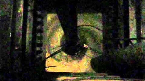 CALYDENS technology seen from above