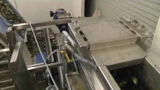 SEA Oyster Grader