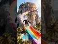 Chimpanzees Take the Wildest Water Slides Ever