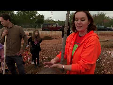 PBZ Akcija pošumljavanja 2021.