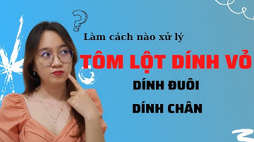 Cách Điều Trị Tôm Lột Dính Vỏ, Tôm Bị Thiếu Khoáng Vi Lượng | Nguyễn Minh Quốc #15