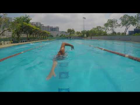 Video Whale P đi trải nghiệm hồ bơi Sala tại Quận 2 - youtube