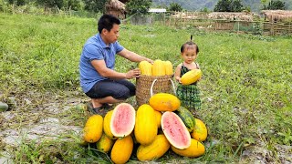 Harvesting Watermelon yellow goes to the market sellWeaving bamboo baskets,catching fish,Cooking