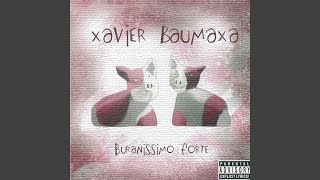 Video thumbnail of "Xavier Baumaxa - Nowodobé kulty"