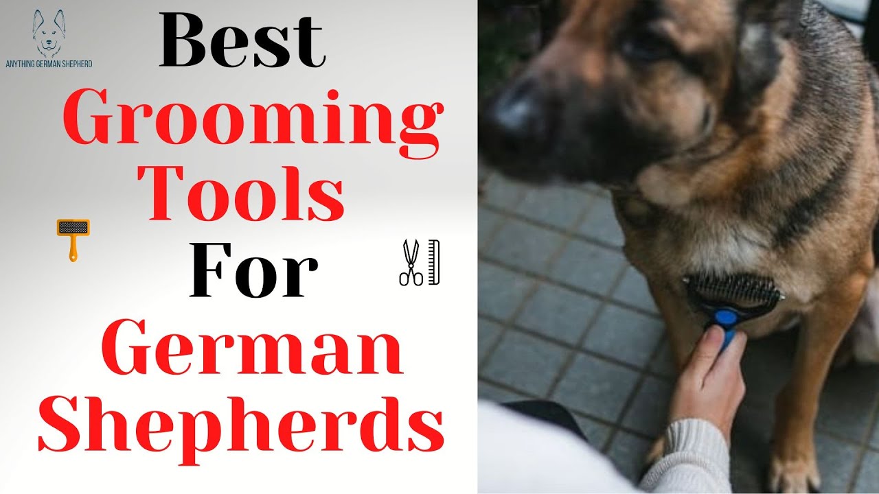 7 Must-Have Dog Grooming Tools For German Shepherds 2022
