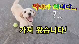 피는 못 속여 ㅎ.ㅎ