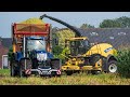 Mais Silage 2021 met 10 rij New Holland FR650 door loonbedrijf Toonen