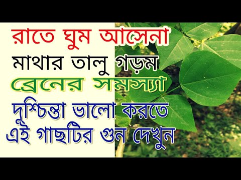 ভিডিও: নিদ্রাহীন মাথা কোথায় তৈরি হয়?