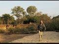 Field trip with patrick blanc in malawi 2  liwonde mulanje  likoma