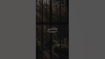 إِنَّهُ مَنْ يَتَّقِ وَيَصْبِرْ فَإِنَّ اللَّهَ ¦ محمد صديق المنشاوي ¦ سورة يوسف