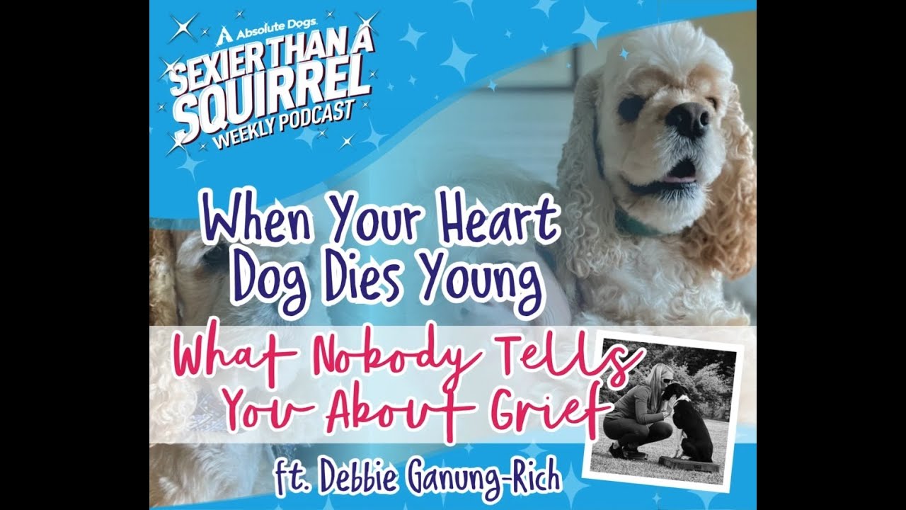 When Your Heart Dog Dies Young: What Nobody Tells You About Grief - YouTube