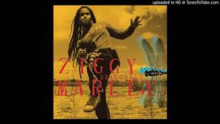 Shalom Salaam - Ziggy Marley (Private Music)