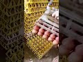cool tool for moving eggs easily #shorts