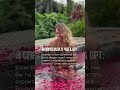 Если бы ты был дьяволом, как бы ты убедил людей перестать строить отношения и идти в близость?⬇️