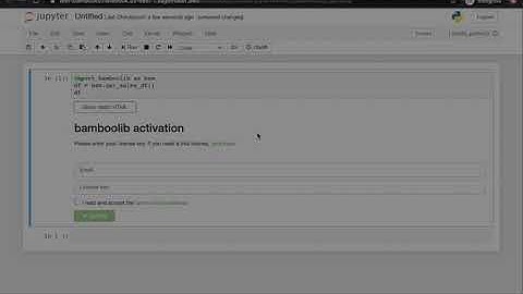 Install bamboolib on Amazon SageMaker - Open Jupyter Notebook and test bamboolib