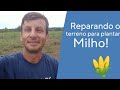 Reparando o terreno para plantar milho! 🌽