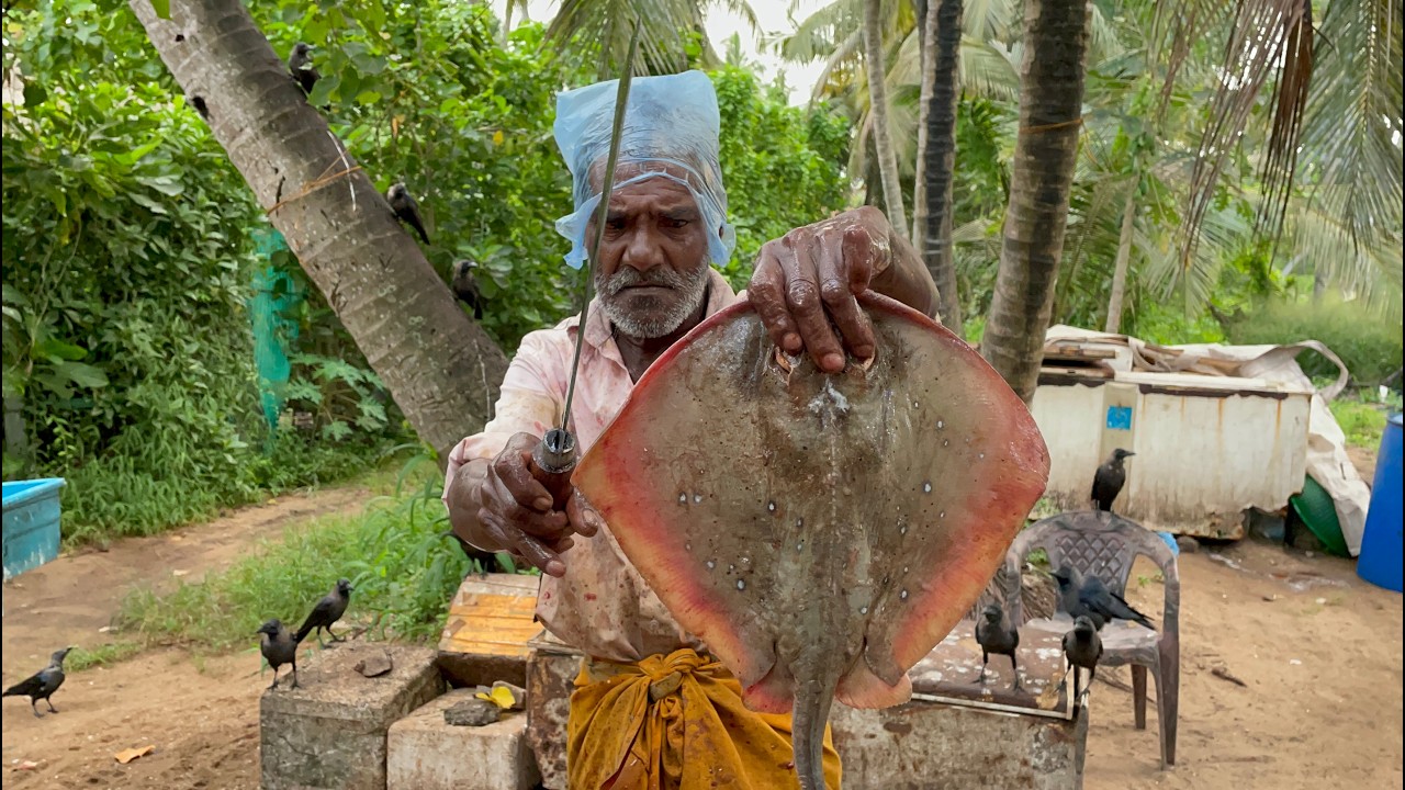 Fvm Fish Fish Market EXPERT Reveals Live Cutting Secrets - YouTube