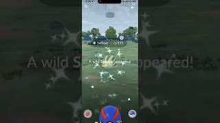 ✨I Caught THIS SHINY Pokemon During SPOTLIGHT HOUR In Pokemon Go!✨ #shorts #pokemon