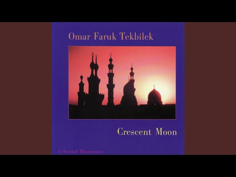 Omar Faruk Tekbilek - Salute to the Sun