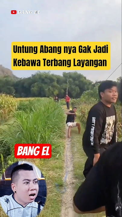 Luckily, his brother didn't get carried away by the kite #shorts #reactionvideo #fypvideo #eldanboy