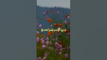 لا اقسم بيوم القيامة.  #سورة_القيامة #قرآن_كريم #راحة_نفسية  #لايك #اجر_لي_ولك #اكتب_شي_تؤجر_عليه