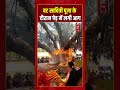 वट सावित्री पूजा के दौरान पेड़ में लगी आग | #shorts #tv7bharat