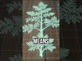 Seeing forests differently #tech #innovation #environment
