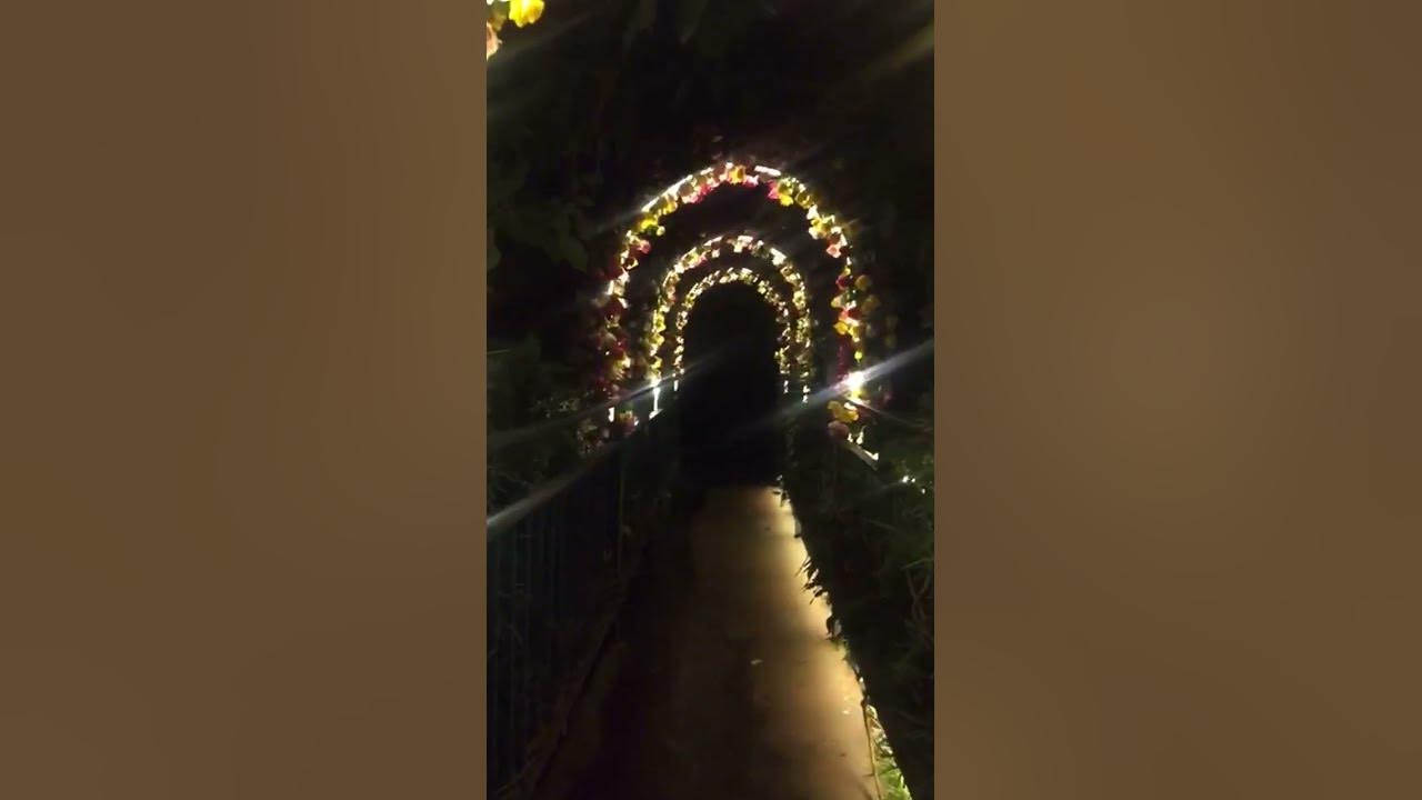 the-love-locks-bridge-kenya-kissing-bridge-at-qaribu-inn-nairobi