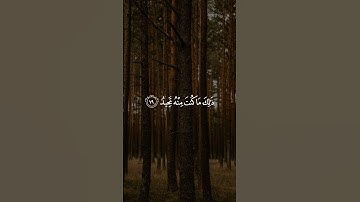 ولقد خلقنا الانسان_القارئ عبدالله كامل