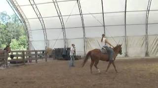 Colt 45 Apr 22, 2011