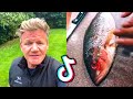 All gordon ramsay reactions to bad tiktok cooking