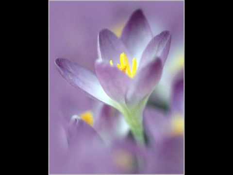 Chante La Vie Chante